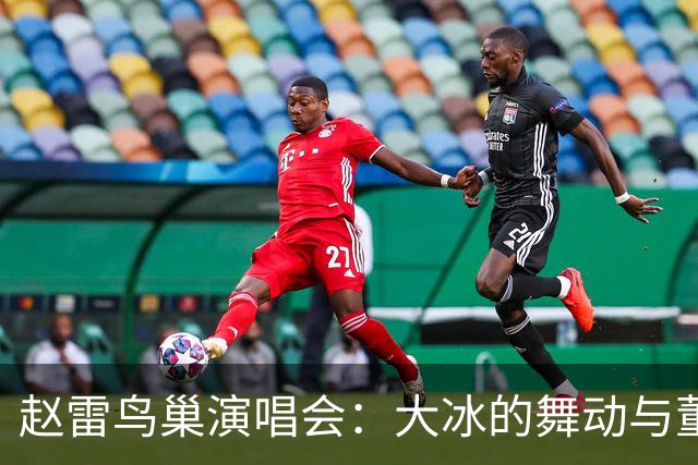 赵雷鸟巢演唱会：大冰的舞动与董宇辉的隐身术